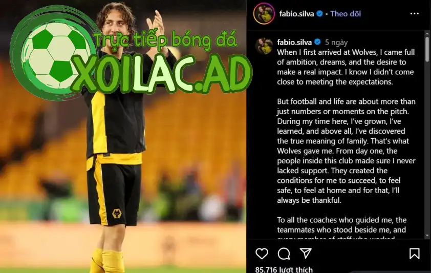 Bài đăng của Fabio Silva.