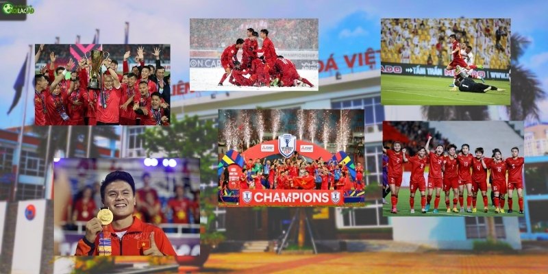Những thành tựu nổi bật mà khi VFF quản lý